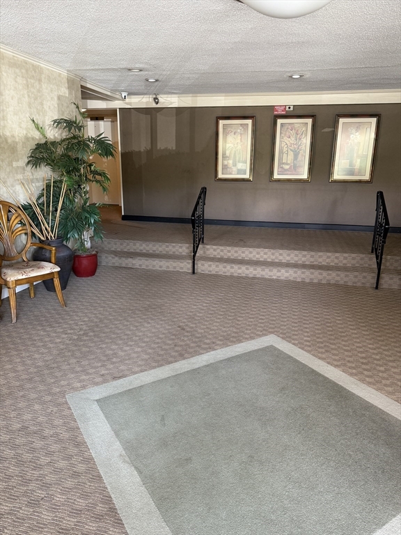200 Park Terrace Dr #235 in Stoneham