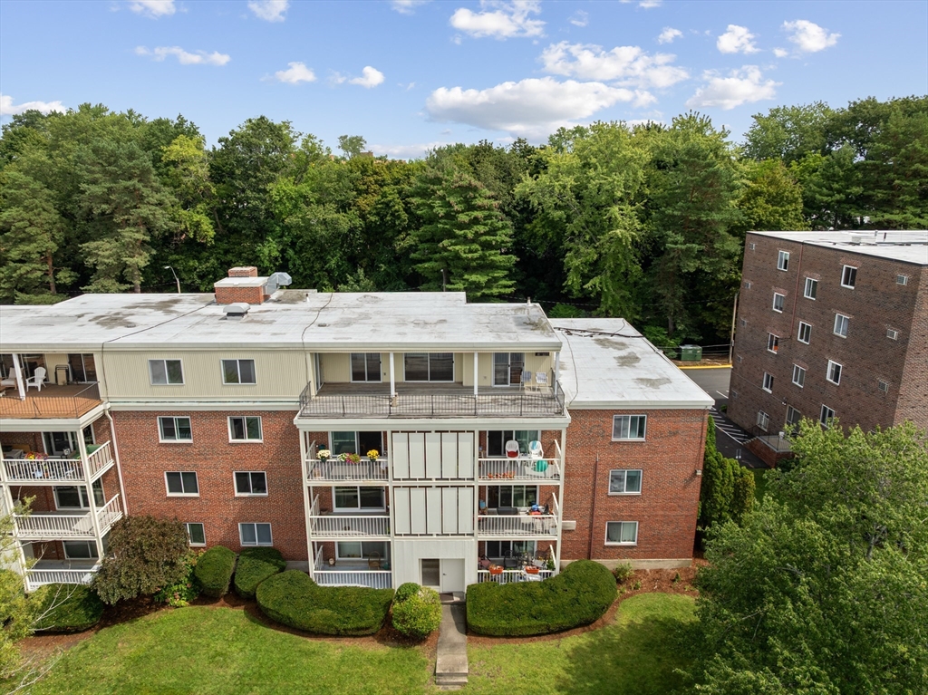 20 Hamilton Rd #401 in Arlington