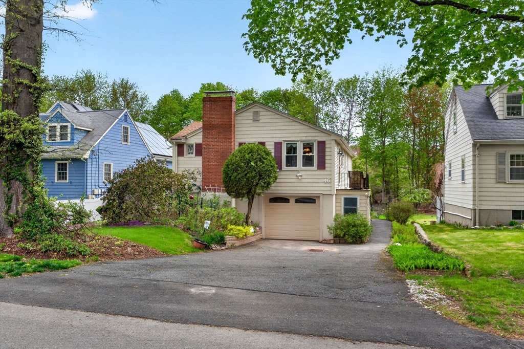 46 Grapevine Ave in Lexington