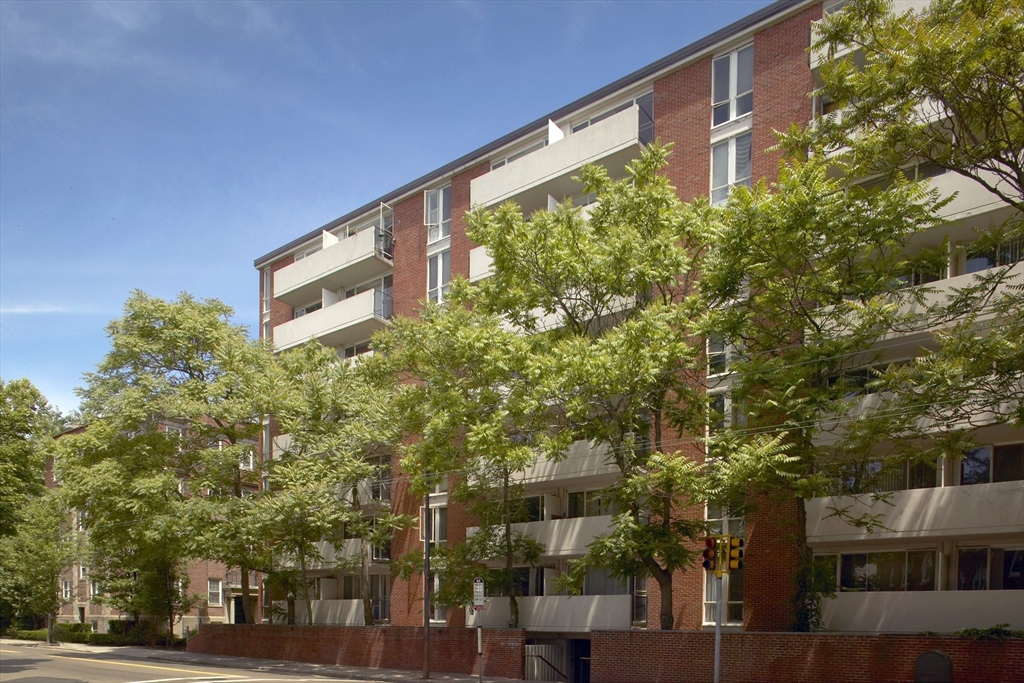 29 Concord Avenue #705 in Cambridge