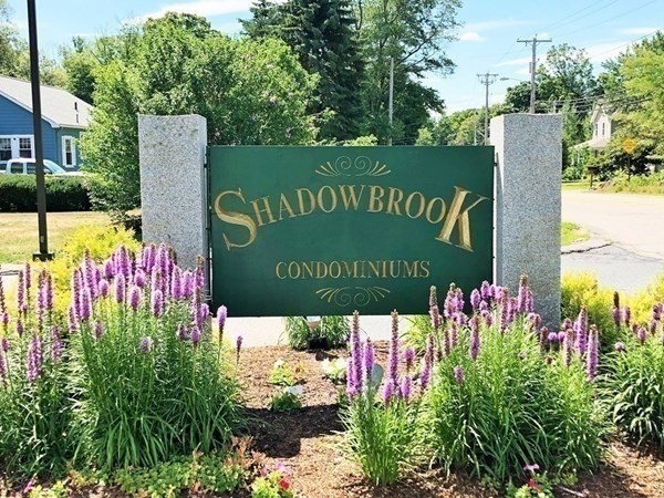 16 Shadowbrook Ln #35 in Milford