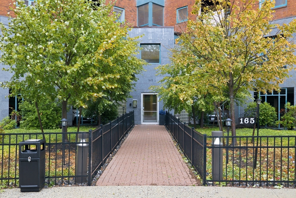 165 Cottage St #207 in Chelsea