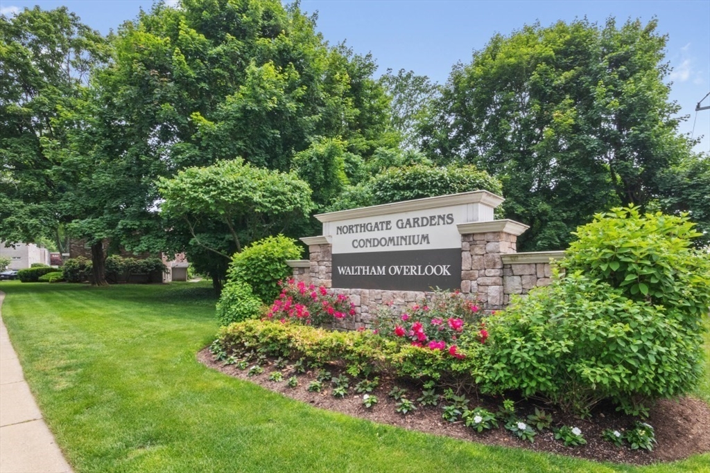 56 Jacqueline Rd #8 in Waltham
