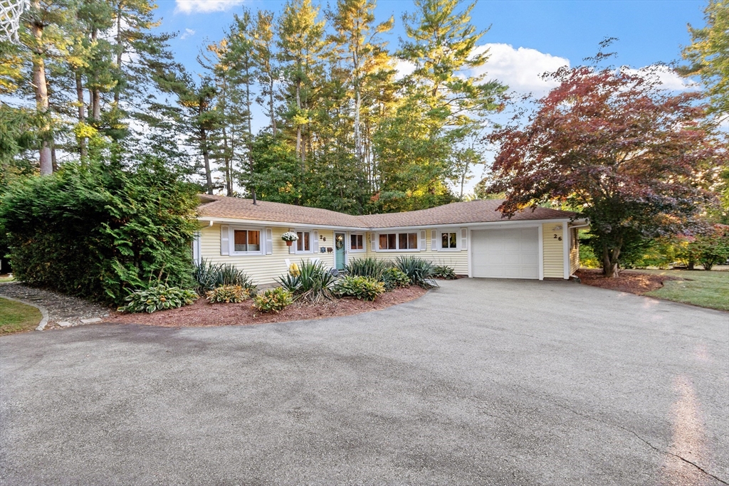 26 Samuel Road in Chelmsford
