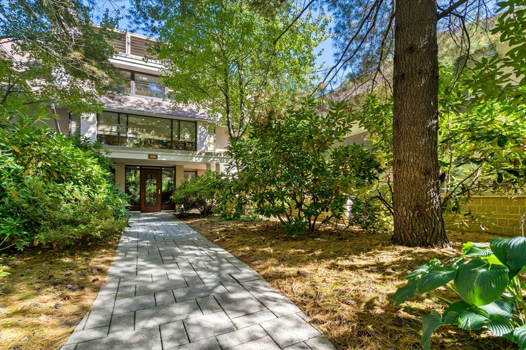 228 Allandale Road #2A in Chestnut Hill