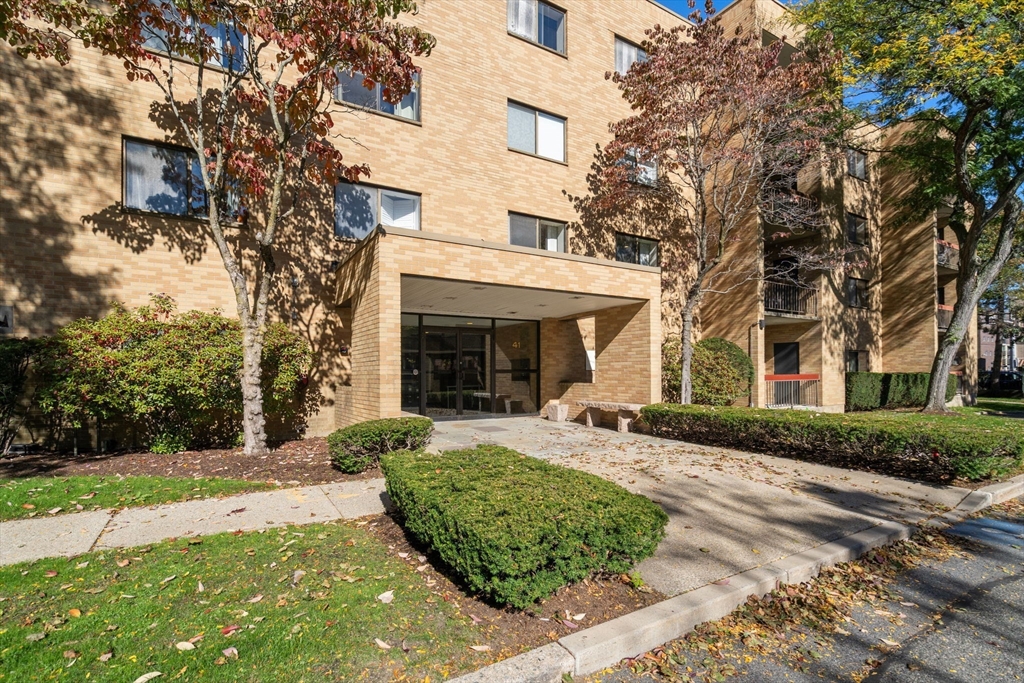41 Centre St #204 in Brookline