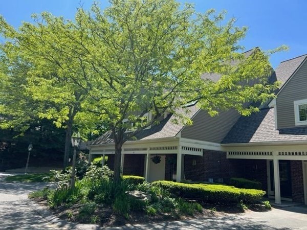 74 S Quinsigamond Ave #7 in Shrewsbury